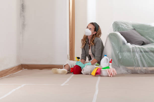 Reliable Black Mold Remediation contractor in Green Cove Springs, FL by 24 Hour Mold Removal